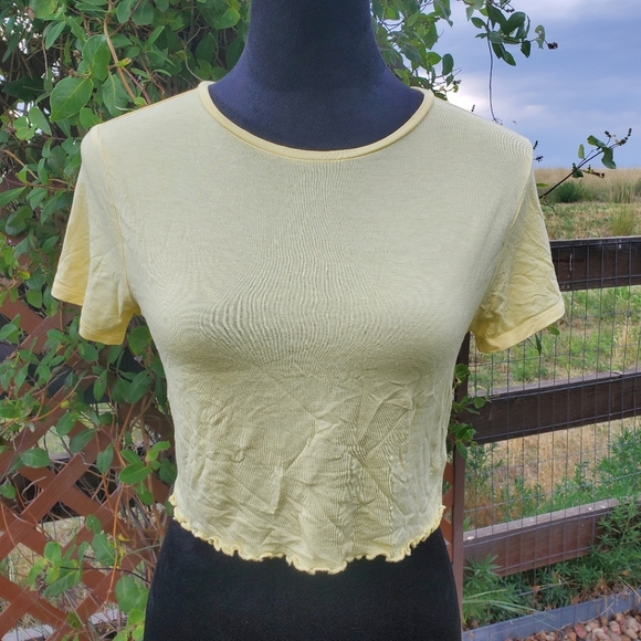 Pacsun Basics Lettuce Hem Crop Top Size Medium Pale Yellow EUC - Picture 9 of 14